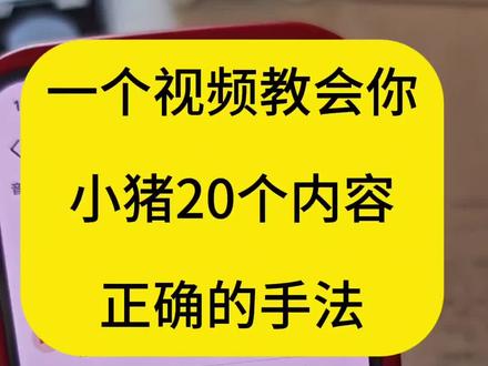 小猪里20个内容,轻松玩转,不费劲!