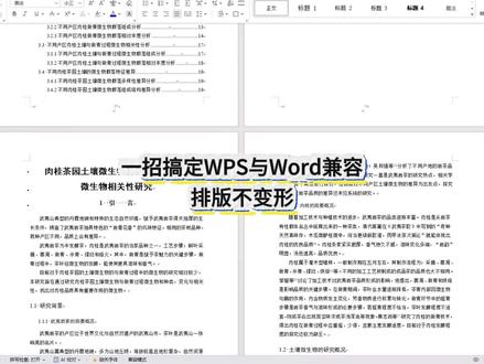 一招搞定WPS与Word兼容 排版不变形 #宏智树AI #大学生 #毕业季 #论文格式 #降AIGC
