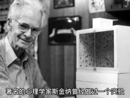 迷信鸽子实验 斯金纳 心理学实验#心理学 #哲学