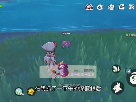#洛克王国世界 异色加油海葵