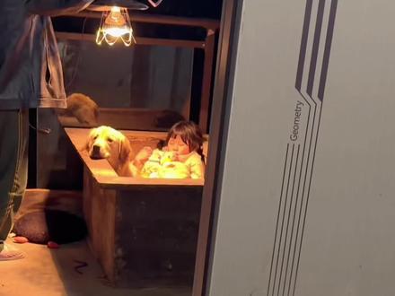 不管是狗狗还是人带孩子都得憔悴呀! 哈哈哈哈哈哈哈哈#瑶一瑶小肉包