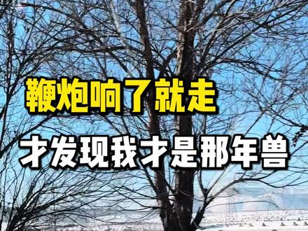 后来,新年到了我就来,鞭炮响了我就走,好像我才是那年兽,从此我的家乡,就只剩下白雪茫茫的冬天
#辽宁朝阳#大数据#朝阳江南#文君肤人