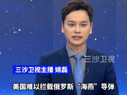 美国前情报人员承认美国难以拦截俄罗斯“海燕”导弹(环球时报)