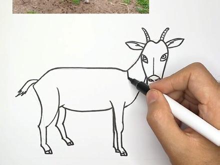 小时候放过羊的举手🙌🏻!
教你5分钟画一只#山羊,
#简笔画 #简笔画教程 #儿童简笔画 #山羊简笔画