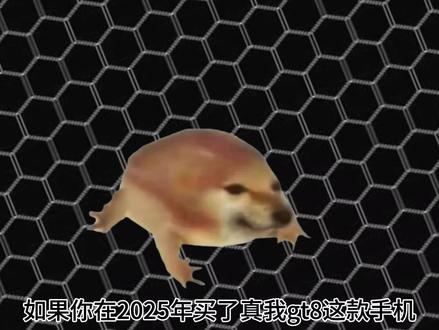 2025 年产品力最强的手机绝对是真我 GT8 #拍机堂淘机 #数码科技 #真我 #真我GT8