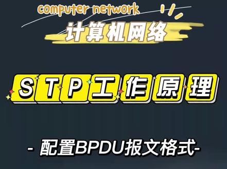 STP工作原理:配置BPUD报文格式
