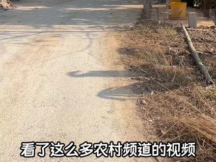 这个真的没见过#安徽 #洗澡 #万万想不到