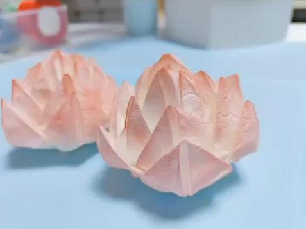 纸巾玫瑰做完了,纸巾荷花赶快安排起来吧#荷花 #手工花朵 #一束花的仪式感