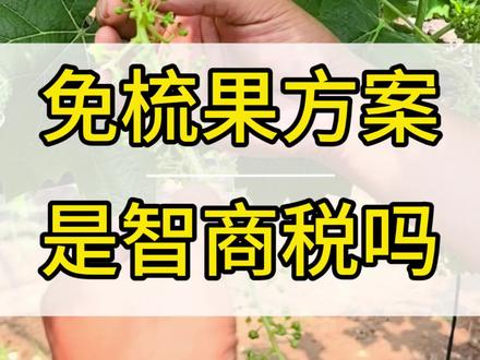 免梳果是智商税吗 #葡萄种植技术 #葡萄免梳果技术 #阳光玫瑰葡萄 #抖音助农 #农业知识分享 @牛田田