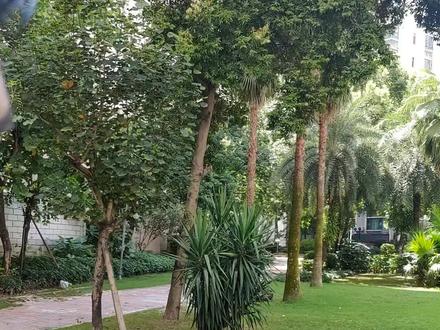 好多网友都在问我鸽武缘大师的功夫是真是假?最后回复一下🙏