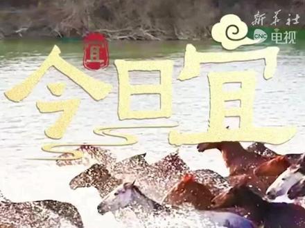 10天后高考,愿你落笔生花皆锦绣,挥毫破局尽锋芒。金榜题名时,马到成功日!#高考加油 #落笔生花 #金榜题名