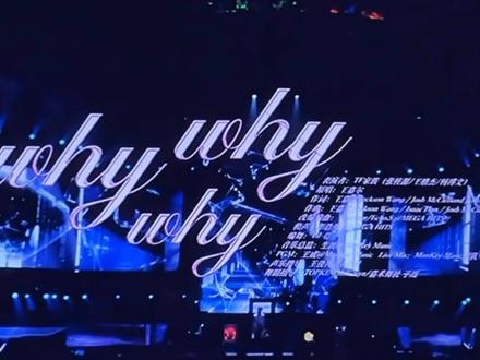 TF荣耀之战《why why why》#whywhywhy #荣耀之战 #tf家族四代 #木立方