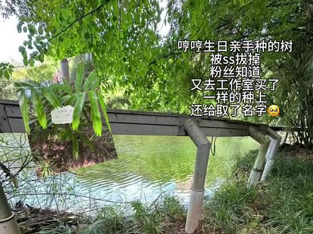 “植物是有生命的”#陈奕恒