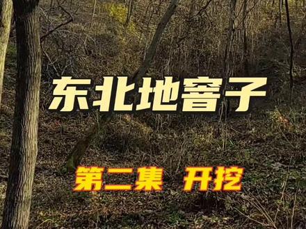 东北地窨子 第二集#东北地窨子 #户外庇护所 #农村生活 #野营