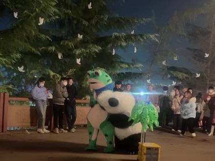 不卖娃儿,到处惹事生非的赖克包😂#青蛙人偶 #熊猫🐼