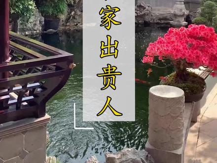 宅子出四喜,家中出贵人,大家知道这四喜是哪四喜吗?
#中式庭院 #中式文化 #庭院设计
@DOU+小助手