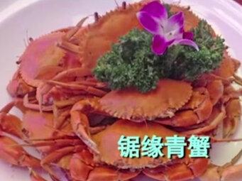 往螃蟹里面注射黄色液体!到底是无良商家的盈利手段还是另有隐情?#绿农优选 #大闸蟹 #健康