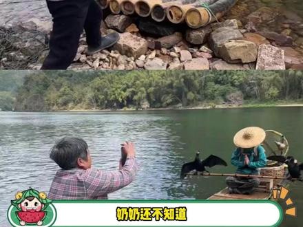 桂林山水甲天下,奶奶拍照冠宇宙#漓江 #拍照 #出片 #娱乐评论大赏