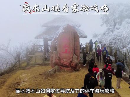 丽水敕木山的雾凇观看攻略,视频详细介绍了停车及游玩路线,以及出行准备。
导航:草鱼塘森林公园,全程6公里。
装备准备:防滑鞋,冰爪,手套,帽子等保暖物品,也可携带暖宝宝、保温杯,山上没有小卖部,需事先准备好补给。
#敕木山 #敕木山雾凇 #温州雾凇 #温州周边游 #温州徒步
