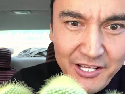 这些仙人掌能吃吗?