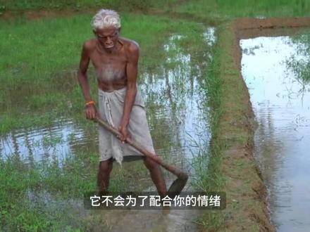 印度真有这么热吗?我们用卫星看看 很多博主都说印度很热,我们用卫星去核实一下。看下地表温度、对水资源以及农业的影响。#印度 #厄尔尼诺 #天气太热 #农业
