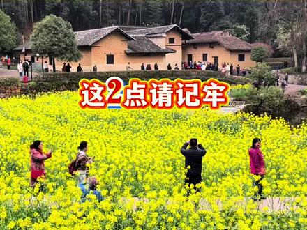 🚗 2026韶山自驾一日游攻略|含通行证办理,省时省钱不绕路!#韶山通行证 #韶山一日游攻略 #韶山旅游 #韶山自驾游 #长沙周边游