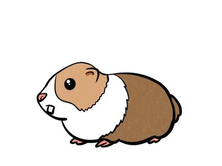 #画画 如何10秒画出荷兰猪?快来试试吧!@抖音小助手