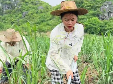 努力就是旺季 不努力就是淡季😔#我的乡村生活