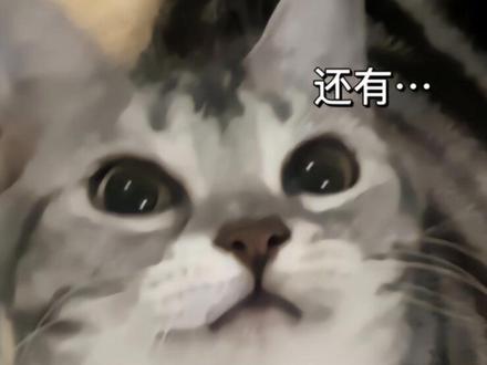 恋爱的意义是什么呢#情感共鸣 #情感 #情侣 #人生感悟