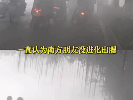 亚马逊的吗喽:南方这块地挺潮!#南方潮湿 #梅雨季 #回南天 #广东湿 #湿气