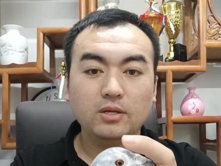 用手搭在脑门上可以辨别,鸽子的好坏#信鸽赛鸽 #每天分享养殖技术和经验 #养鸽人 #鸽子放飞训练