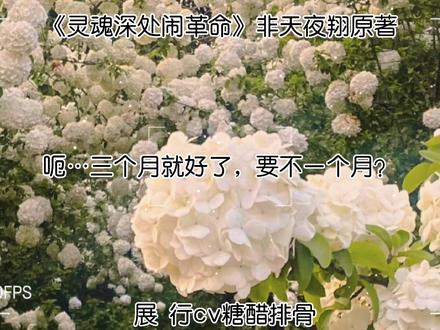 视频时长三分四十七秒,我觉得我尽力了,只能发这么多了#声优都是怪物 #糖醋排骨 #网配