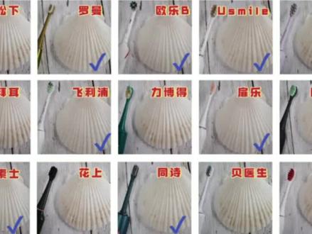 用数据评测电动牙刷,飞利浦、扉乐、usmlie、罗曼电动牙刷超全排雷测评。