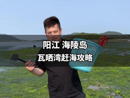 2023海陵岛赶海攻略来咯~来到阳江海陵岛游玩,怎能不来瓦晒湾体验下赶海的乐趣…#海陵岛旅游攻略 #海陵岛赶海 #亲子游玩好去处 #户外赶海抓海鲜 #赶海