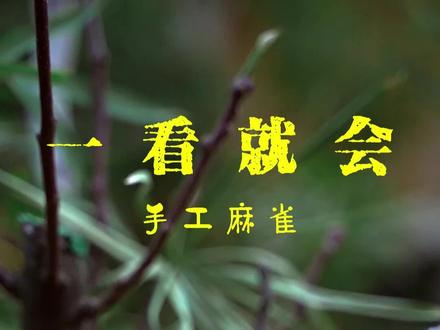 手工麻雀,一学就会#自然手工 #创意手工 #原创手作 #儿童手工 #手工制作 #手工 #亲子手工 #幼儿园手工 #手工diy #自然教育