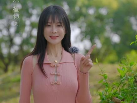 看似柔弱的无根藤,卻对人体益处颇多!
#园艺生活 #花卉绿植#大自然的馈赠