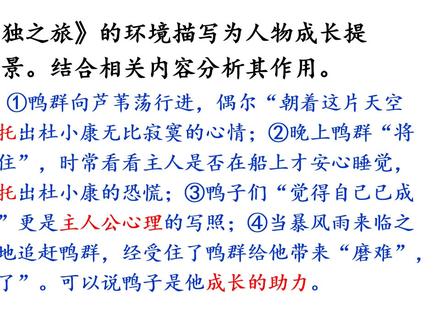 《孤独之旅》中的环境描写的作用