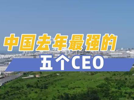 中国去年最强的五个CEO,他们造福了打工人吗? #企业家 #科技 #牛人