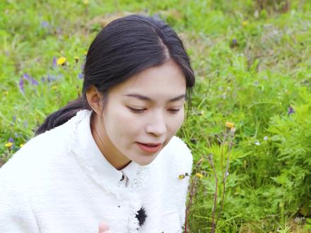 "采薇采薇,薇亦作止..."当中的薇就是指的野豌豆,野豌豆在春天是一种非常好吃的野菜,对于果农,对于农民也是帮助极大的一种植物哦!#大自然的馈赠 #春天的味道 #你的家乡有这种植物吗 #植物科普 #大山里的原生态 #美食分享 #新农人计划2023 #野菜 #我的乡村生活