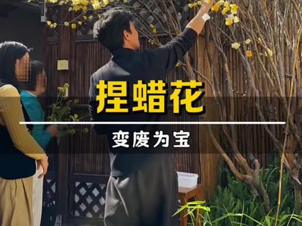手工制作腊梅花 庭院改造,怎样把枯萎的树变得生机勃勃。
#腊梅花 #手工diy #乡村生活记录 #花园改造
