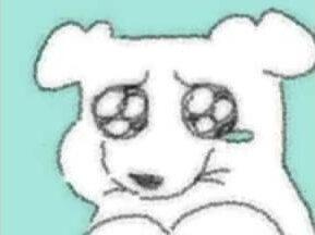 土象不愿为难对方#土象 #土象星座 #摩羯 #金牛 #处女