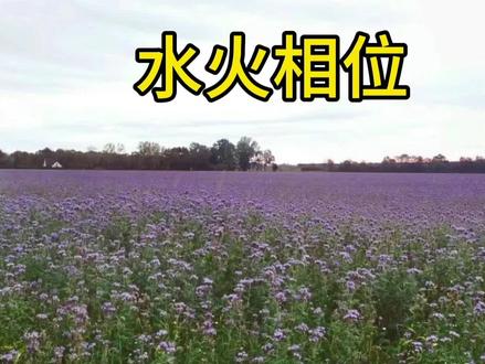 水星与火星有相位。 仅供学习交流,暂不回复提问和咨询。