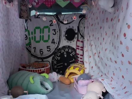 小猫没找到地方,今天放点猫薄荷 #流浪猫救助 #流浪猫 #流浪猫冬天怎么过