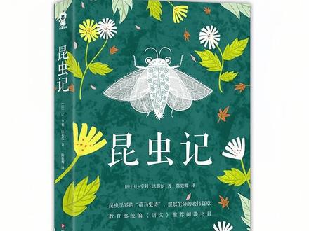 《昆虫记》 荒石园 毛刺砂泥蜂 夜声播讲