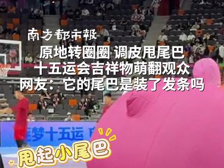 原地转圈圈,调皮甩尾巴,#十五运会吉祥物萌翻观众。网友:它的尾巴是装了发条吗 #2025全运会 #吉祥物