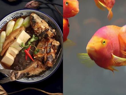 观赏鱼死了可以吃吗?? #红木家具 #鱼缸