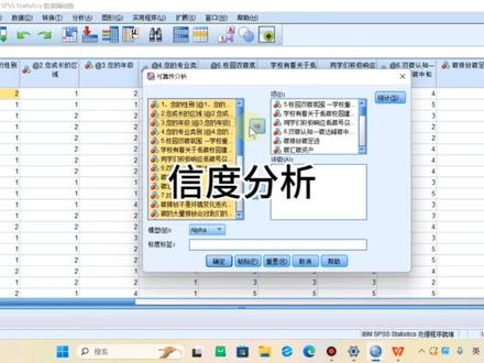 如何进行信度分析?如何制作三线表?SPSS! #spss #SPSS #数据分析 #调研报告