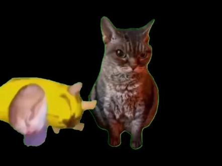 粉丝发现了一个豆包bug
#豆包#bug