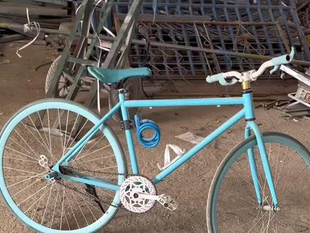 死飞自行车,有需要的吗