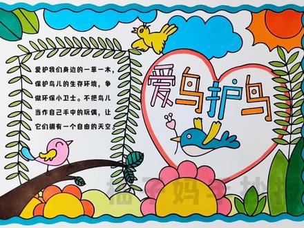 爱鸟护鸟手抄报/保护鸟类手抄报,有线稿可打印喔#爱鸟护鸟 #保护鸟类 #手抄报 #保护野生动物 #保护动物